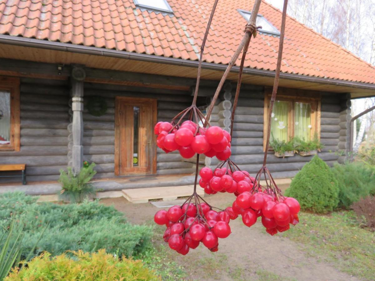 Guest House Leveri Valgalciems المظهر الخارجي الصورة